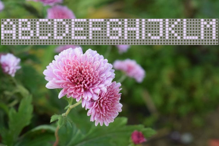 TPF Display Font examples