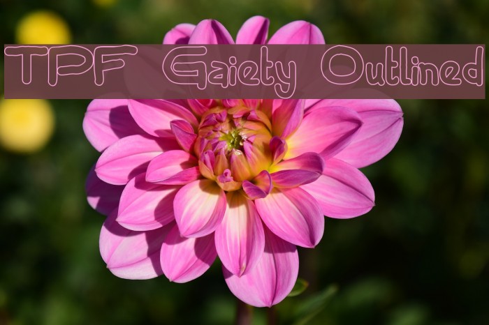 TPF Gaiety Outlined Font examples