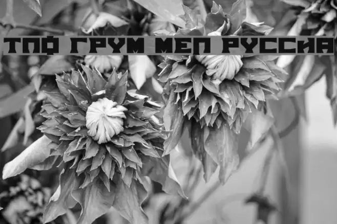 TPF Grum Mel Russia Font examples