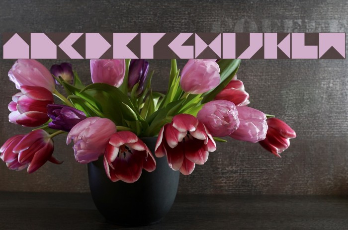 TPF Praktika Font examples