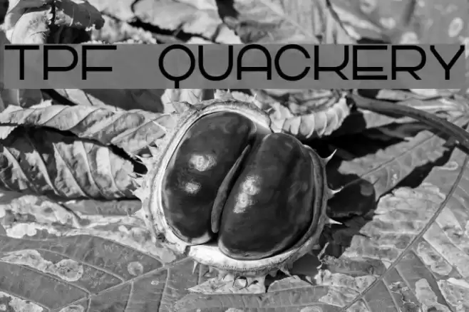 TPF Quackery Font examples