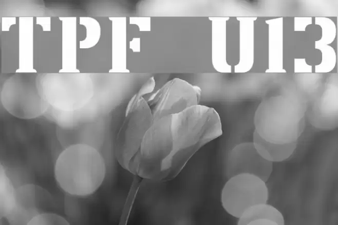 TPF U13 Fonte examples