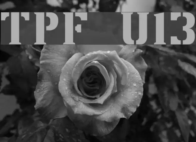 TPF U13 Fonte examples