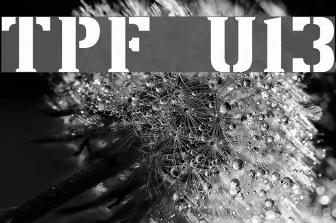 TPF U13 Fonte examples