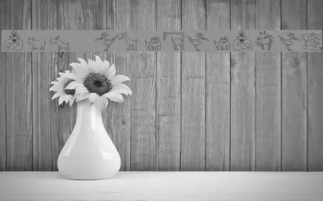 TPF Ubiquitous Font examples