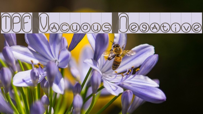 TPF Vacuous Negative Example 1