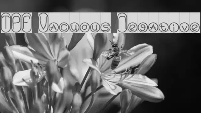 TPF Vacuous Negative Font examples