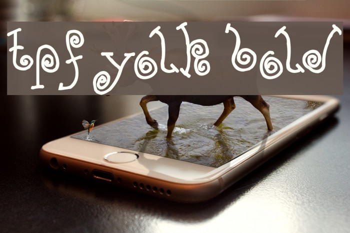 TPF Yolk Bold Font examples