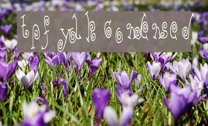 TPF Yolk Condensed Font examples
