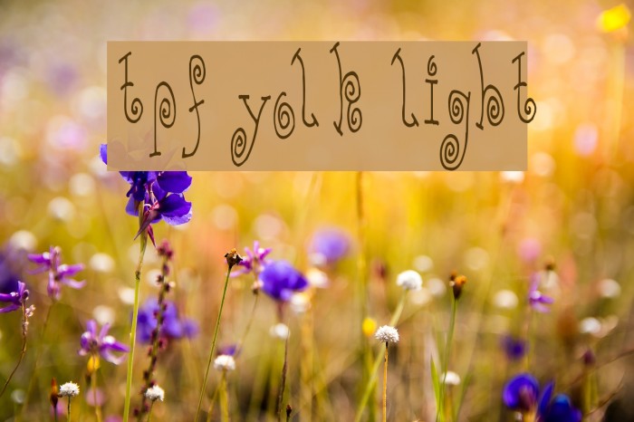 TPF Yolk Light Font examples