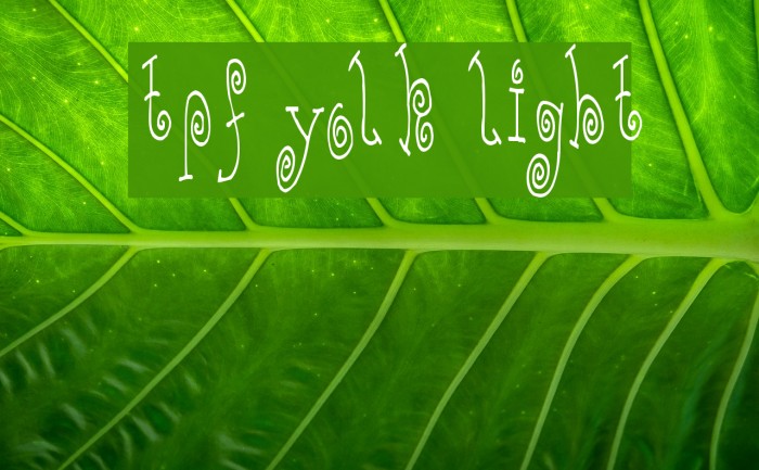 TPF Yolk Light Font examples