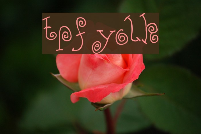 TPF Yolk Font examples