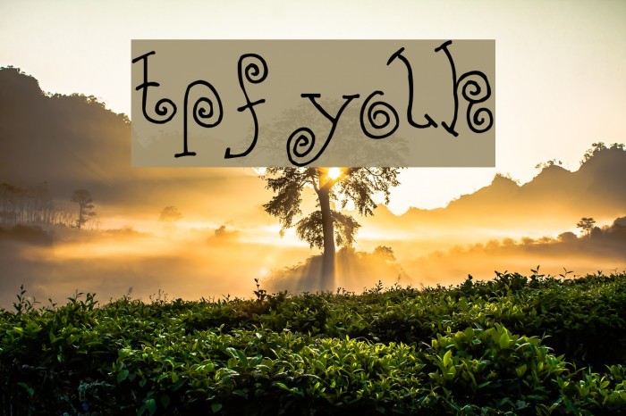 TPF Yolk Font examples