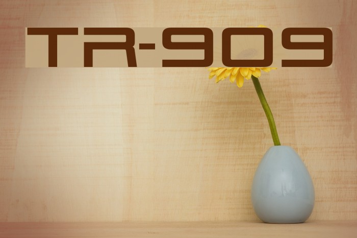TR-909 Font examples