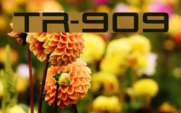 TR-909 Font examples