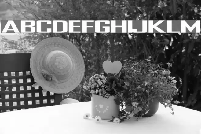 TR Heavy Font examples