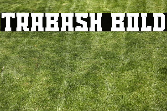 TRABASH Bold Example 1