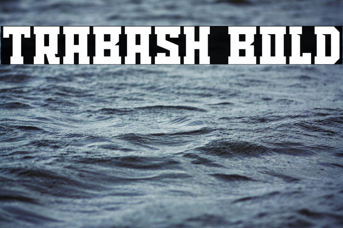 TRABASH Bold Example 2