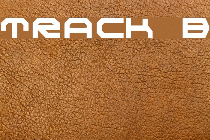 TRACK Bold Font examples