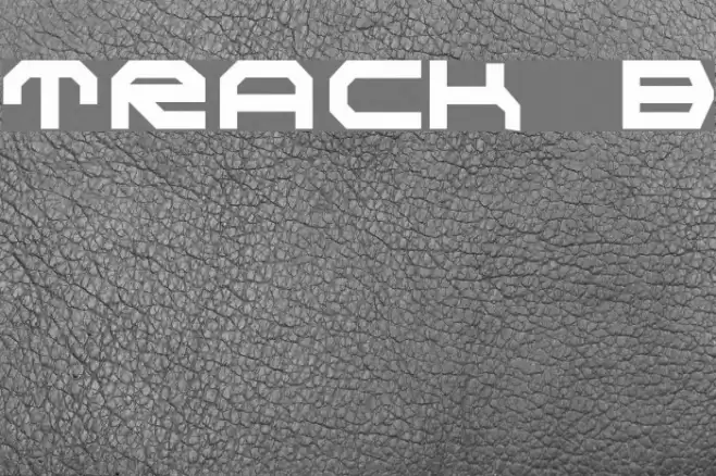 TRACK  Bold Font examples