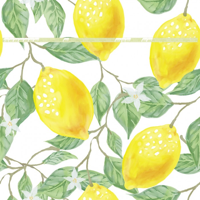 TRACKER [uncomplete_version] Example 3