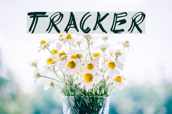 TRACKER Font examples