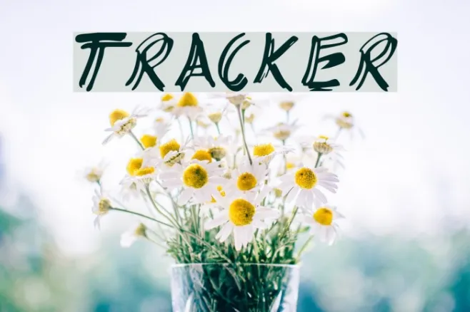 TRACKER Example 1