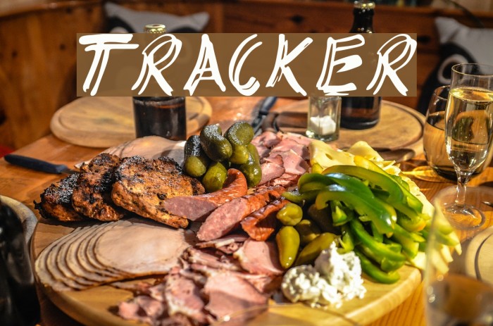 TRACKER Font examples