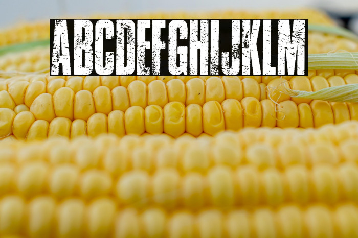 TRAFFIC PERSONAL USE  Example 3