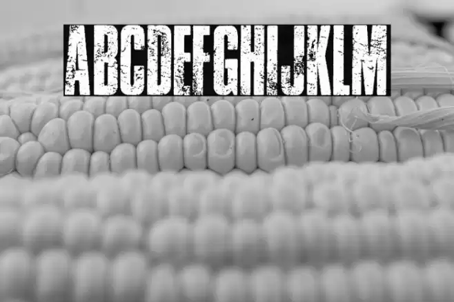 TRAFFIC PERSONAL USE  Font examples