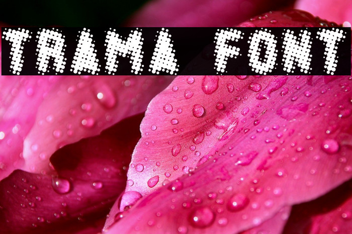TRAMA Font examples