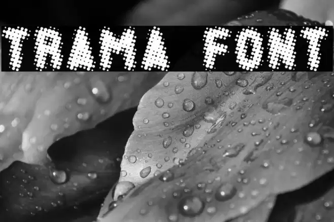 TRAMA Schriftart examples