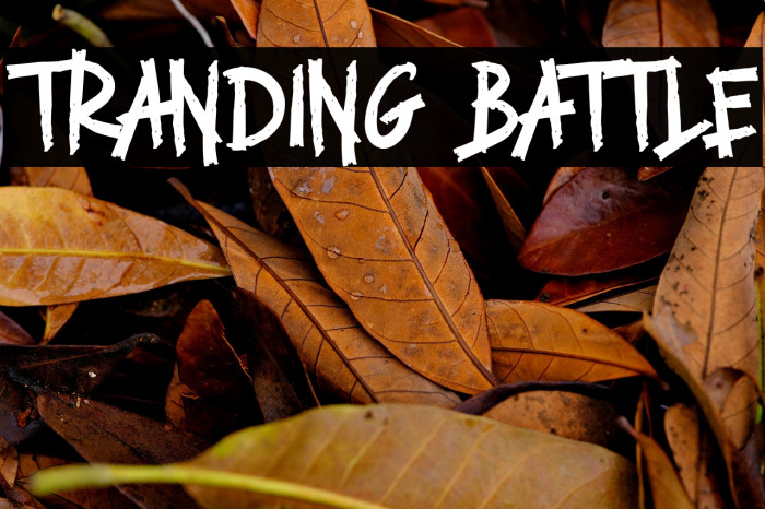 TRANDING BATTLE Example 1