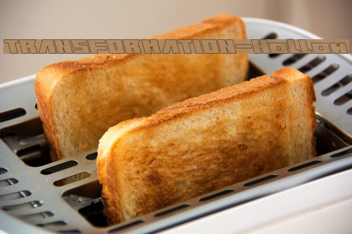 TRANSFORMATION-Hollow Example 3