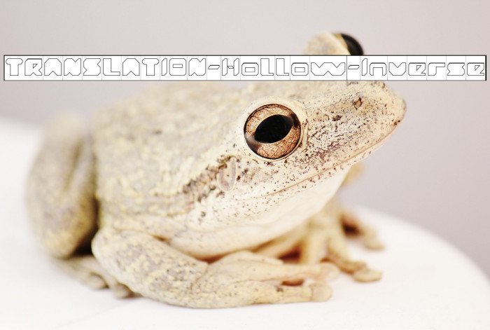 TRANSLATION-Hollow-Inverse Example 1