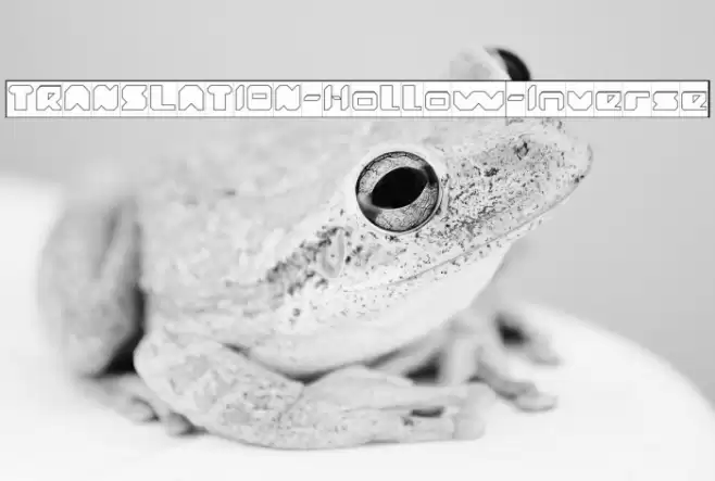 TRANSLATION-Hollow-Inverse Font examples