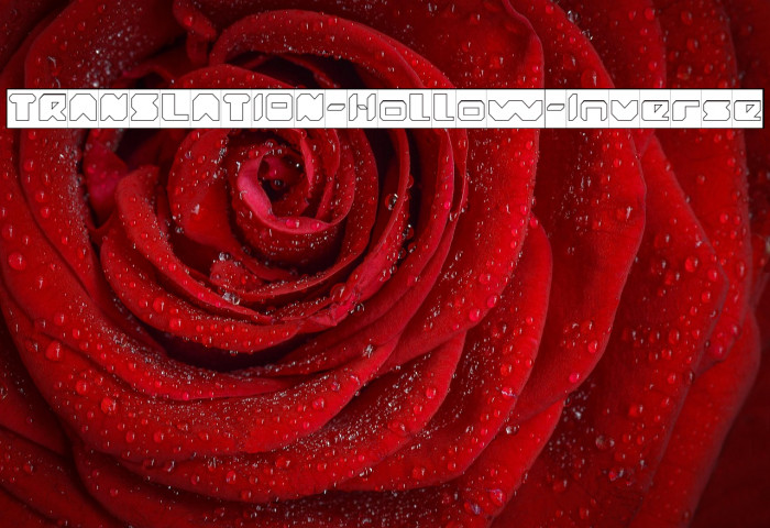 TRANSLATION-Hollow-Inverse Example 2