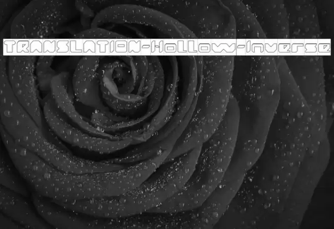 TRANSLATION-Hollow-Inverse Font examples