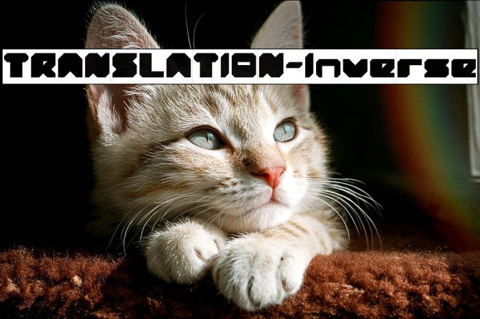 TRANSLATION-Inverse Example 2