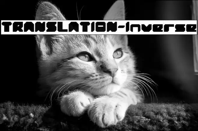 TRANSLATION-Inverse Font examples