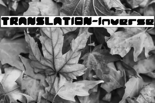 TRANSLATION-Inverse Font examples