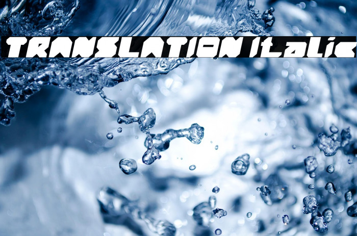 TRANSLATION Italic Example 1