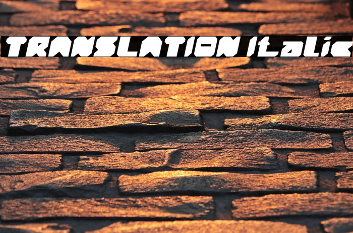 TRANSLATION Italic Example 3