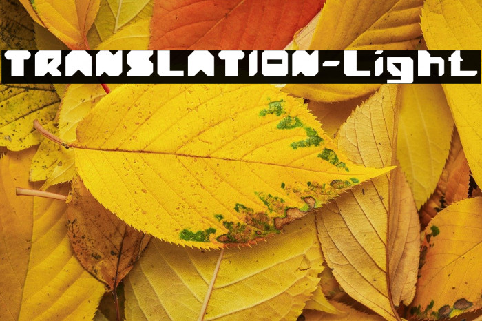 TRANSLATION-Light Example 2