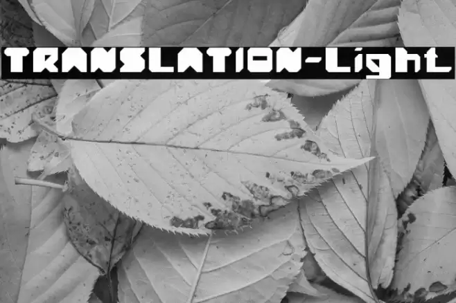 TRANSLATION-Light Font examples