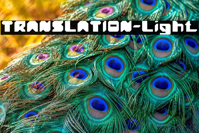 TRANSLATION-Light Example 3