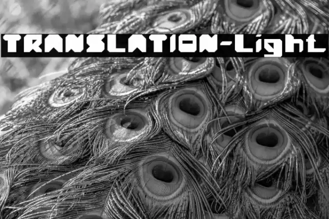 TRANSLATION-Light Font examples