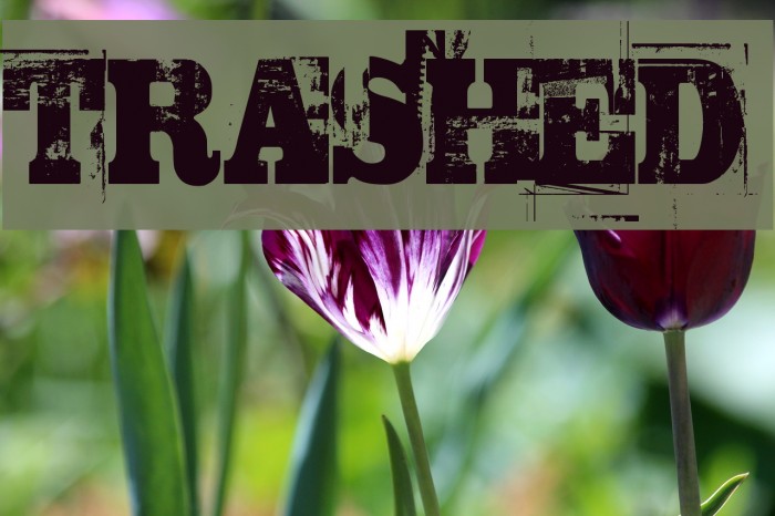 TRASHED फ़ॉन्ट examples