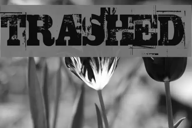 TRASHED Font examples