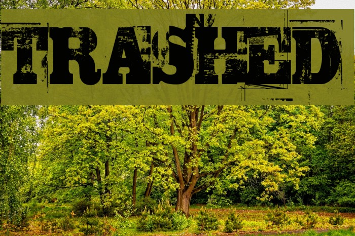 TRASHED फ़ॉन्ट examples